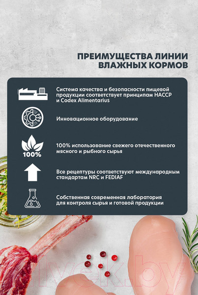 Изображение товара Влажный корм для собак AlphaPet Superpremium Кролик и яблоко мясные кусочки в соусе / 211002 (100г)