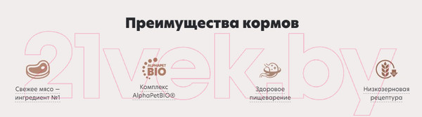 Изображение товара Влажный корм для собак AlphaPet Superpremium Телятина с тыквой в соусе / 211003 (100г)