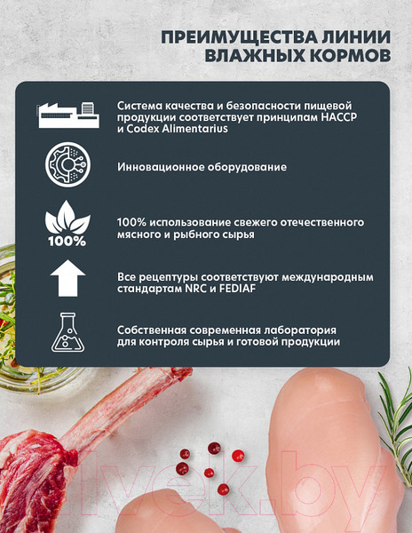 Изображение товара Влажный корм для собак AlphaPet Superpremium Телятина с тыквой в соусе / 211003 (100г)