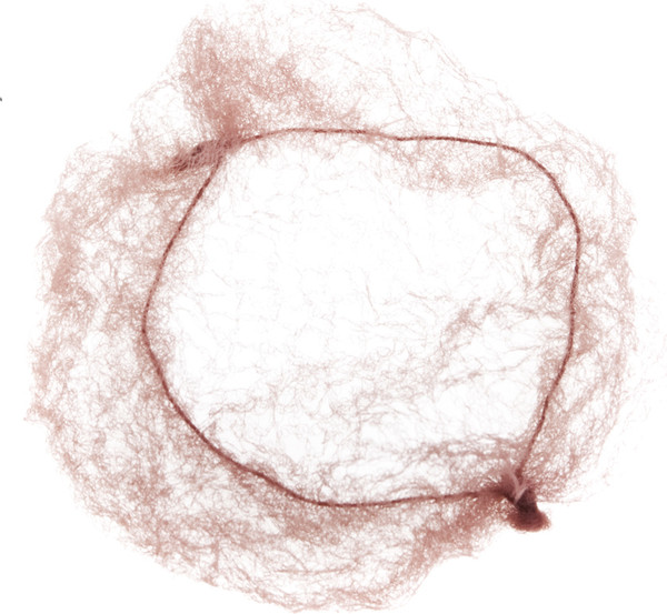 Изображение товара Cеточка для волос Dewal CE051 (2шт, коричневый)