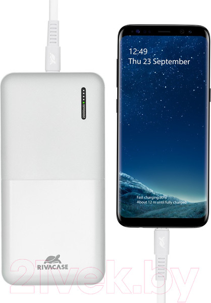 Изображение товара Портативное зарядное устройство Rivacase VA2571 20000mAh (белый)