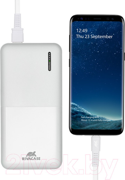 Изображение товара Портативное зарядное устройство Rivacase VA2571 20000mAh (белый)