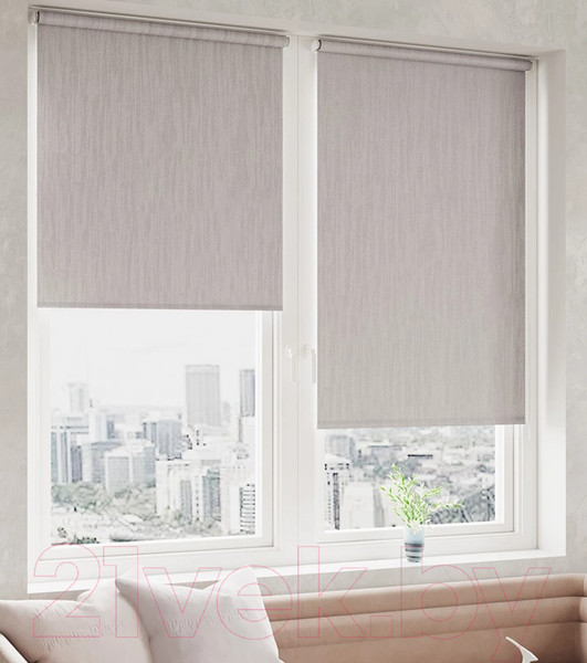 Изображение товара Рулонная штора LEGRAND Сидней 72.5x175 / 58103838 (муссон)