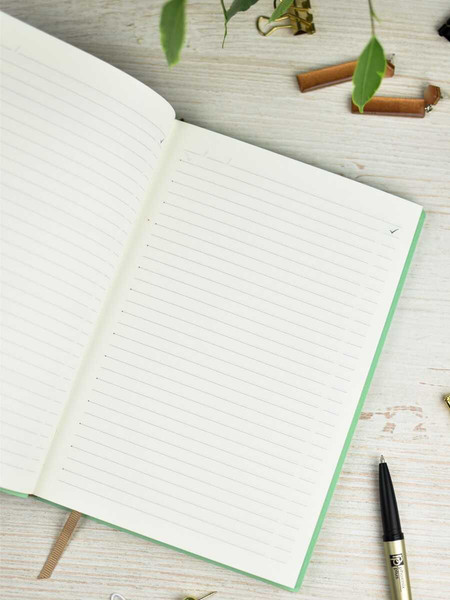 Изображение товара Ежедневник Escalada Земля / 64012 (120л)