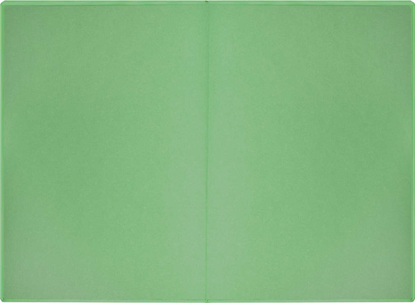 Изображение товара Ежедневник Escalada Земля / 64012 (120л)