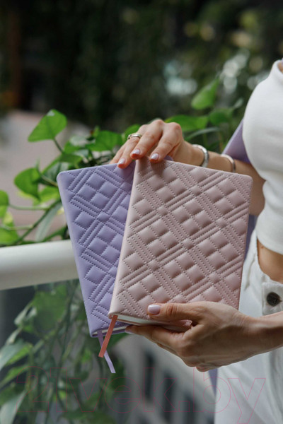 Изображение товара Ежедневник Escalada Лайка / 63966 (164л, розовый)