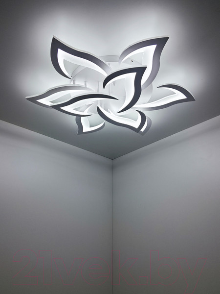 Изображение товара Потолочный светильник Mirastyle Диод CF-38604/6+3 WH