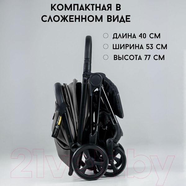 Изображение товара Детская прогулочная коляска Bubago Axi / BG 115-2 (серый)