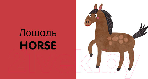 Изображение товара Набор развивающих книг CLEVER Познаем мир вместе. Английский язык. Животные (Уткина О.)