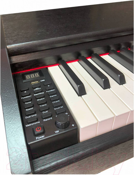 Изображение товара Цифровое фортепиано Aramius API-120 MBK