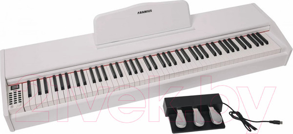 Изображение товара Цифровое фортепиано Aramius API-120 MWH