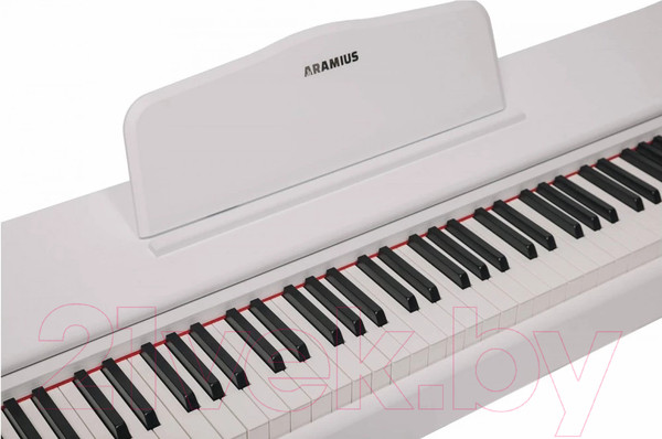 Изображение товара Цифровое фортепиано Aramius API-120 MWH