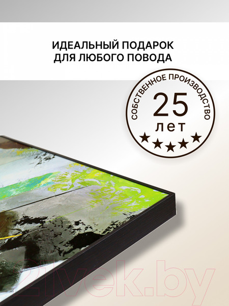 Изображение товара Картина Декарт Абстракция 8Л3663 (в раме)