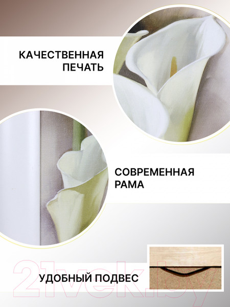 Изображение товара Картина Декарт Каллы 8Л0981 (в раме)