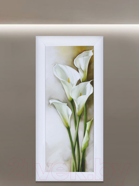 Изображение товара Картина Декарт Каллы-2 8Л0982 (в раме)