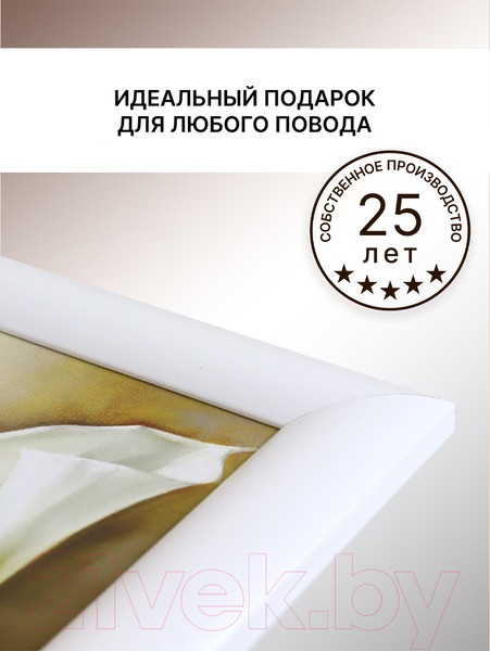 Изображение товара Картина Декарт Каллы-2 8Л0982 (в раме)