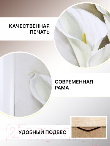 Изображение товара Картина Декарт Каллы-2 8Л0982 (в раме)