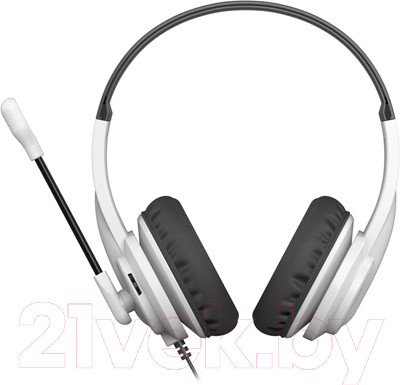 Изображение товара Наушники-гарнитура A4Tech HS-10 (черный/белый)