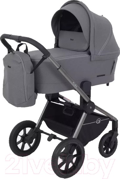 Изображение товара Детская универсальная коляска Rant Flex Pro 2 в 1 2023 / RA074 (серый)