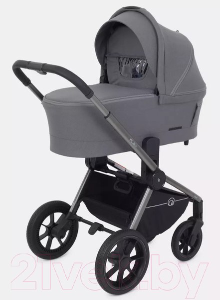 Изображение товара Детская универсальная коляска Rant Flex Pro 2 в 1 2023 / RA074 (серый)