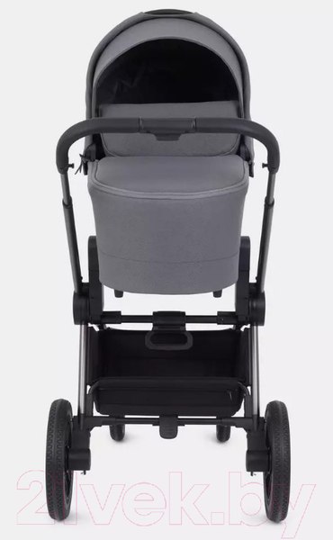 Изображение товара Детская универсальная коляска Rant Flex Pro 2 в 1 2023 / RA074 (серый)