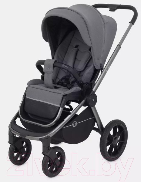 Изображение товара Детская универсальная коляска Rant Flex Pro 2 в 1 2023 / RA074 (серый)