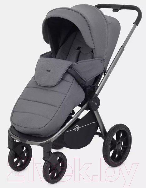 Изображение товара Детская универсальная коляска Rant Flex Pro 2 в 1 2023 / RA074 (серый)