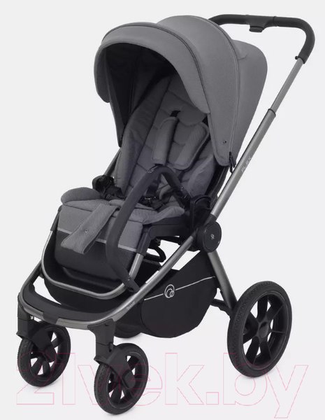 Изображение товара Детская универсальная коляска Rant Flex Pro 2 в 1 2023 / RA074 (серый)