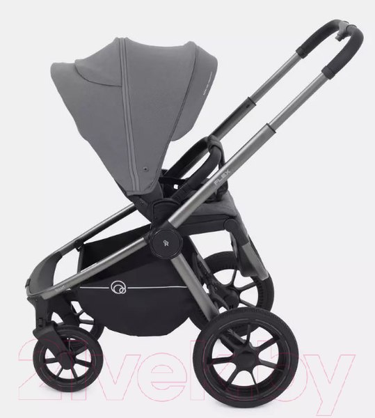 Изображение товара Детская универсальная коляска Rant Flex Pro 2 в 1 2023 / RA074 (серый)