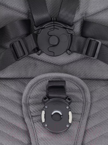 Изображение товара Детская универсальная коляска Rant Flex Pro 2 в 1 2023 / RA074 (серый)