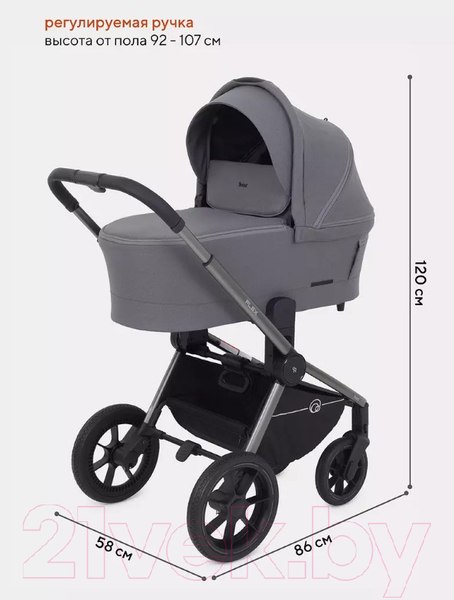 Изображение товара Детская универсальная коляска Rant Flex Pro 2 в 1 2023 / RA074 (серый)