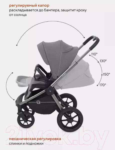 Изображение товара Детская универсальная коляска Rant Flex Pro 2 в 1 2023 / RA074 (серый)