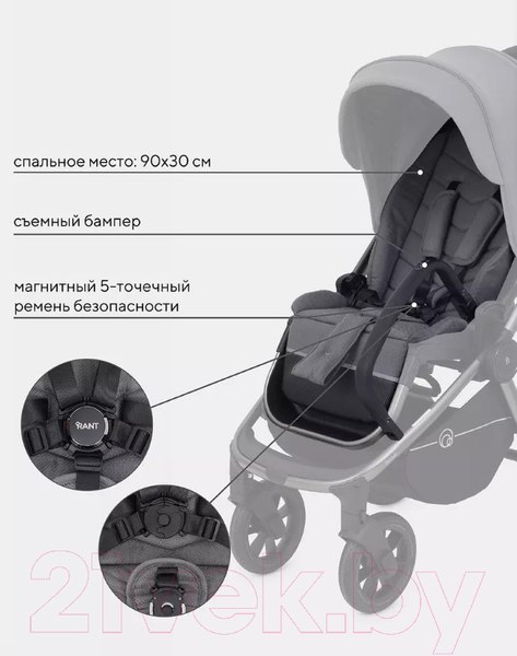 Изображение товара Детская универсальная коляска Rant Flex Pro 2 в 1 2023 / RA074 (серый)