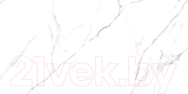 Изображение товара Плитка Alma Ceramica Carrara GFU60120CRR00R (600x1200)