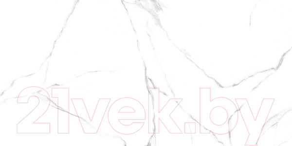 Изображение товара Плитка Alma Ceramica Carrara GFU60120CRR00R (600x1200)