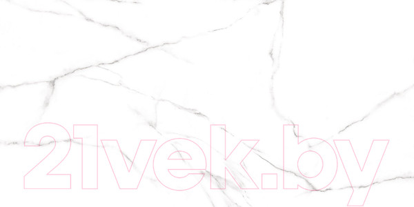 Изображение товара Плитка Alma Ceramica Carrara GFU60120CRR00R (600x1200)