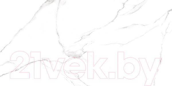 Изображение товара Плитка Alma Ceramica Carrara GFU60120CRR00R (600x1200)