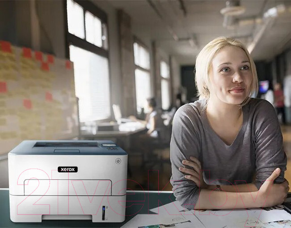 Изображение товара Принтер Xerox B230V_DNI