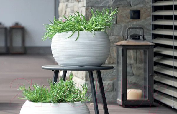 Изображение товара Кашпо Prosperplast Furu Bowl / DBFUK400-443U (серый)