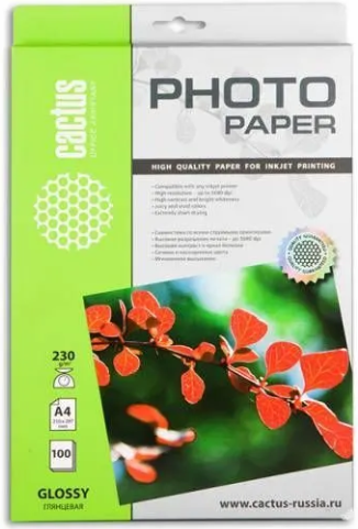 Изображение товара Фотобумага Cactus CS-GA4230100