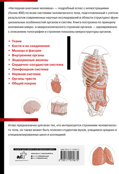 Изображение товара Энциклопедия АСТ Наглядная анатомия человека. Подробный атлас (Самусев Р.П.)