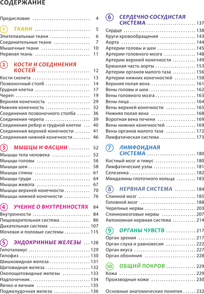 Изображение товара Энциклопедия АСТ Наглядная анатомия человека. Подробный атлас (Самусев Р.П.)