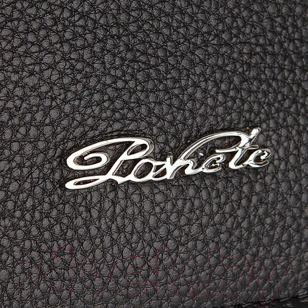 Изображение товара Сумка Poshete 845-SR20119OL-BLK (черный)