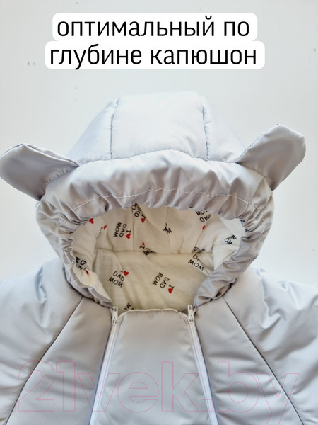 Изображение товара Комбинезон прогулочный детский Sofi Тедди / 3025-С (р.62, серый)