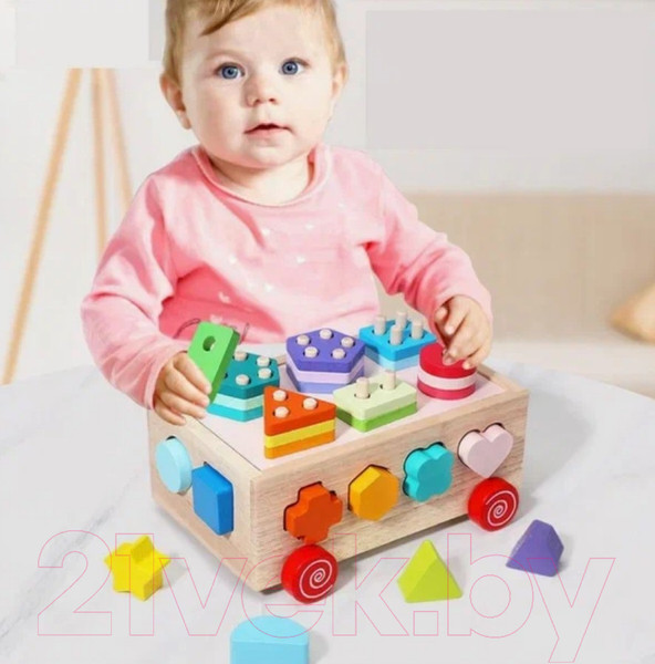 Изображение товара Сортер Top Goods JHTOY-550