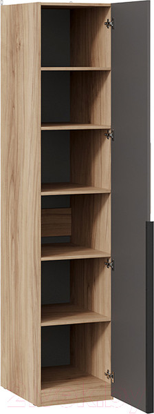 Изображение товара Шкаф-пенал ТриЯ Порто СМ-393.07.002 с 1 зеркальной дверью (яблоня беллуно/графит)