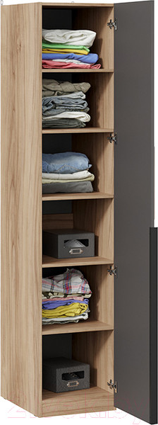 Изображение товара Шкаф-пенал ТриЯ Порто СМ-393.07.002 с 1 зеркальной дверью (яблоня беллуно/графит)