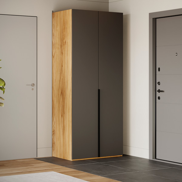 Изображение товара Шкаф ТриЯ Порто СМ-393.07.003 с 2 глухими дверями (яблоня беллуно/графит софт)