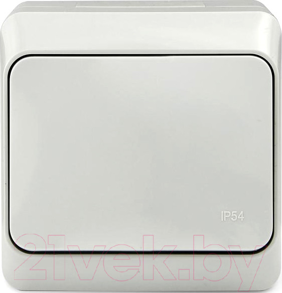 Изображение товара Выключатель Tokov Electric TKE-NX-P1-C06-IP54