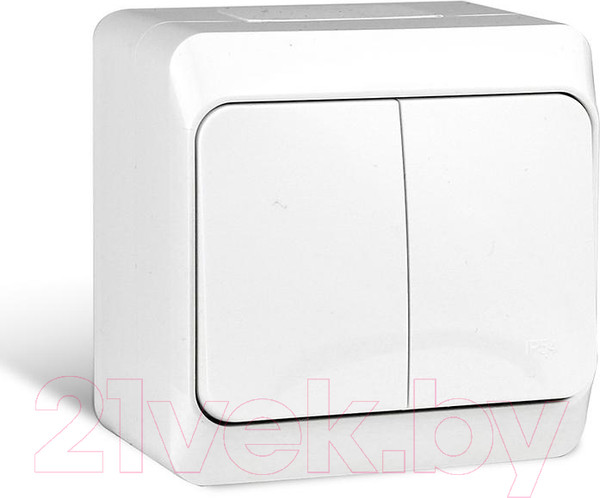 Изображение товара Выключатель Tokov Electric TKE-NX-V2-C01-IP54